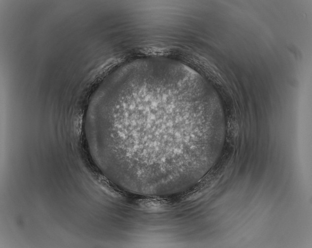 X0000112010652200908311135