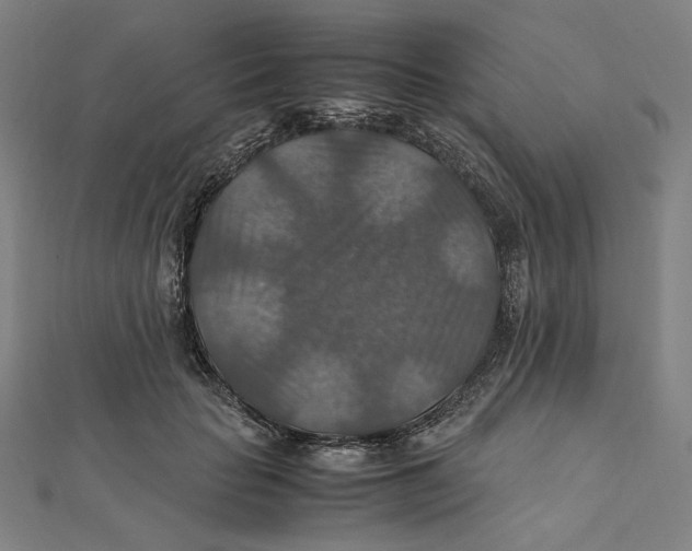 X0000112010653200908311135