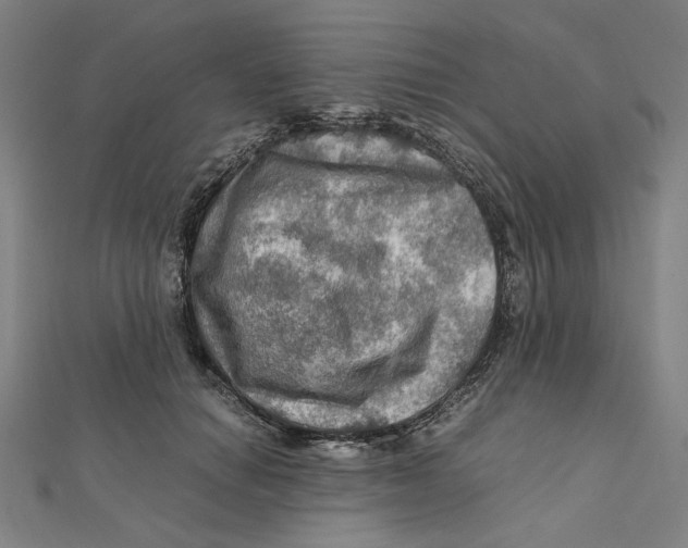 X0000112010654200908311135