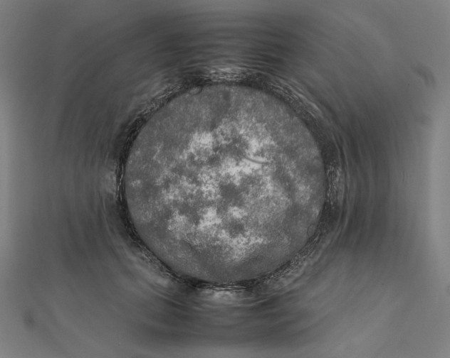 X0000112010655200908311135