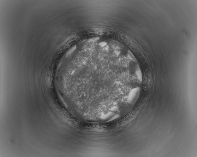 X0000112010656200908311135