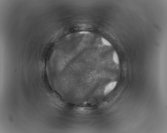X0000112010657200908311135