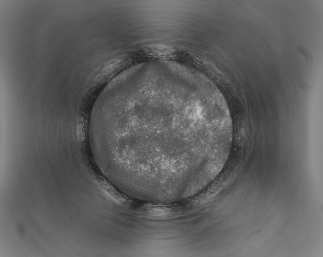 X0000112010658200908311135