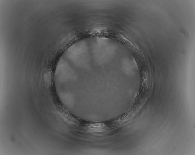 X0000112010659200908311135