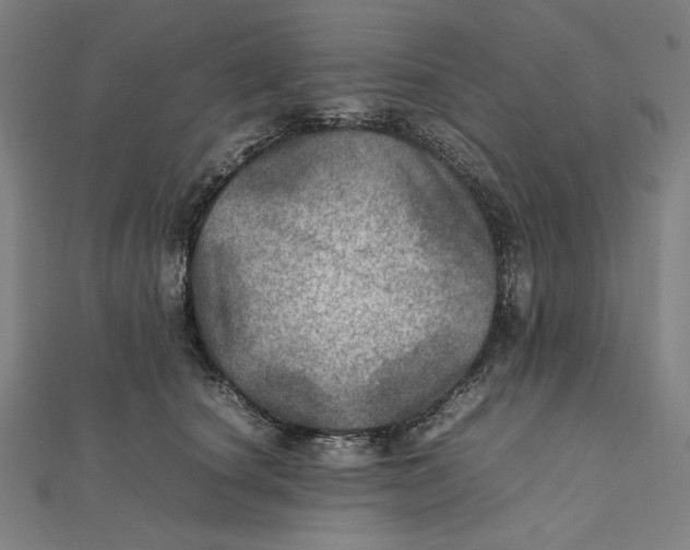 X0000112010660200908311135