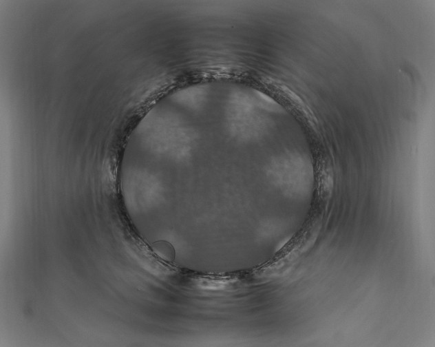 X0000112010661200908311135