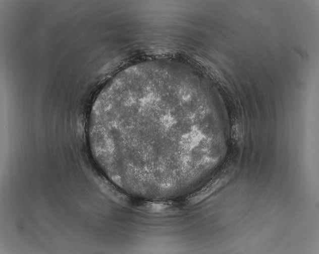 X0000112010662200908311135