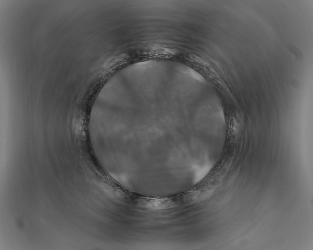 X0000112010663200908311135