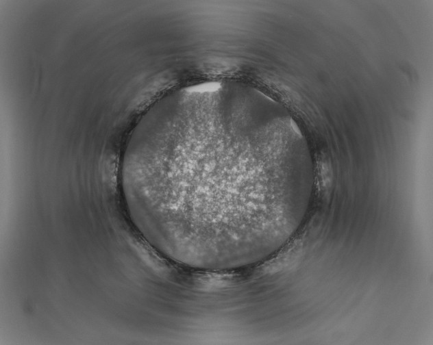 X0000112010664200908311135