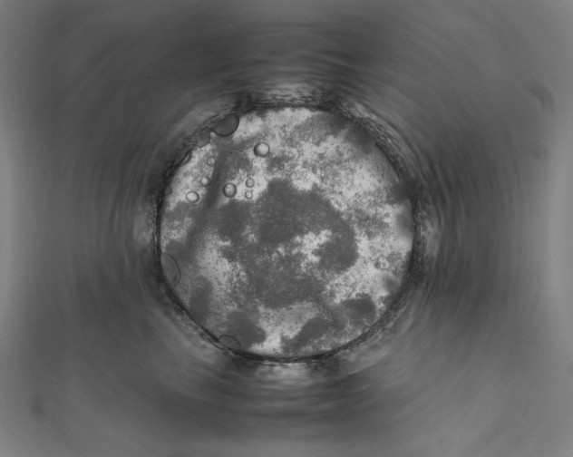 X0000112010665200908311135