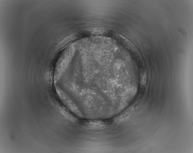 X0000112010666200908311135