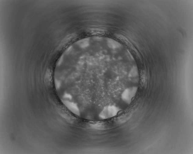 X0000112010667200908311135