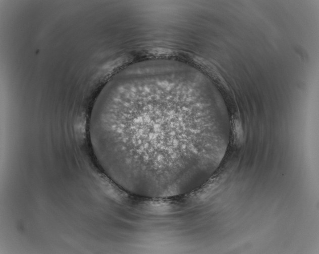 X0000112010668200908311135