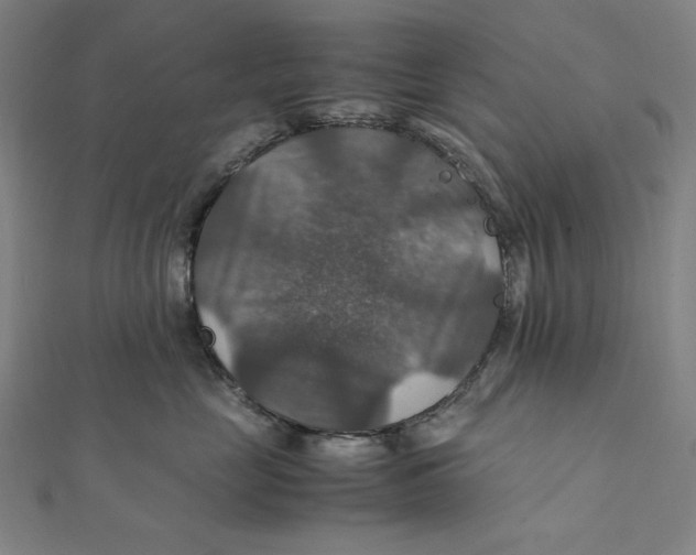 X0000112010669200908311135