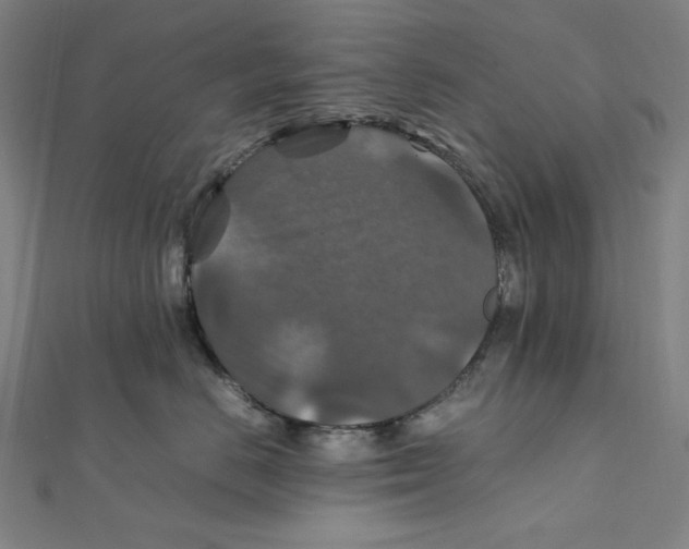 X0000112010670200908311135