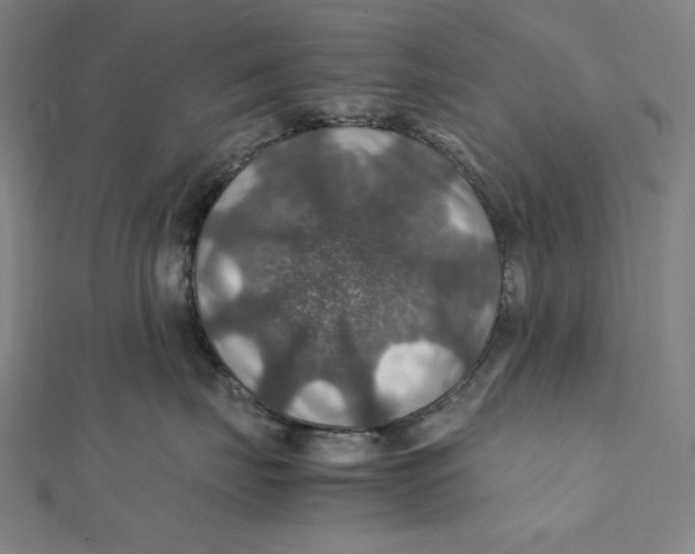 X0000112010671200908311135