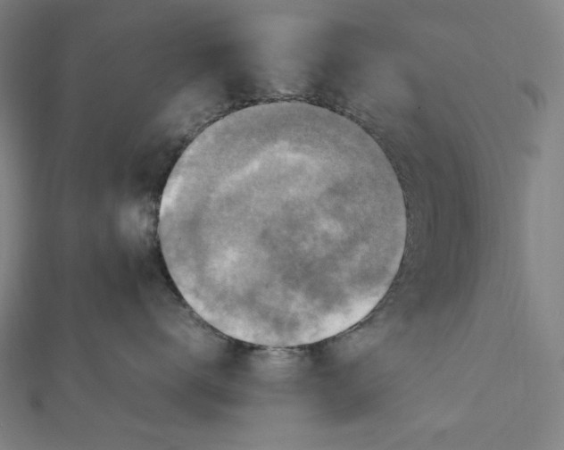 X0000112010672200908311135