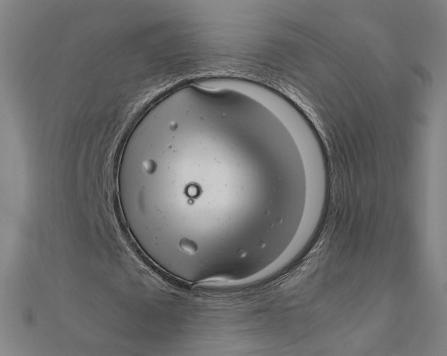 X0000112010673200908311135