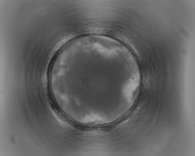 X0000112010674200908311135