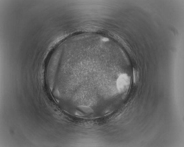 X0000112010675200908311135