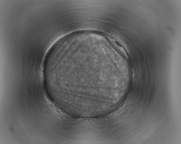 X0000112010676200908311135
