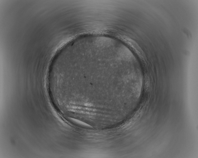 X0000112010677200908311135