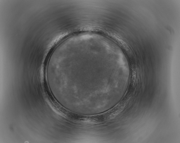 X0000112010678200908311135