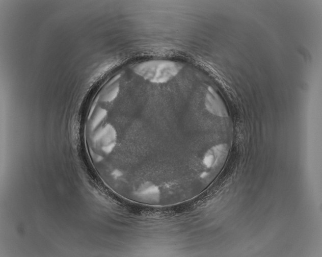 X0000112010679200908311135