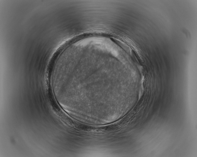 X0000112010680200908311135