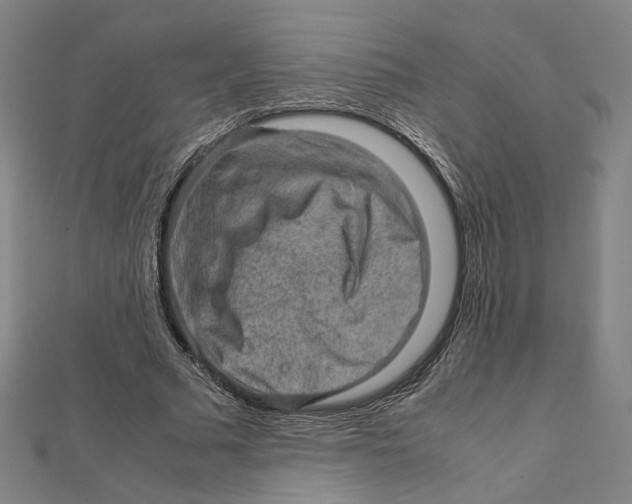 X0000112010681200908311135