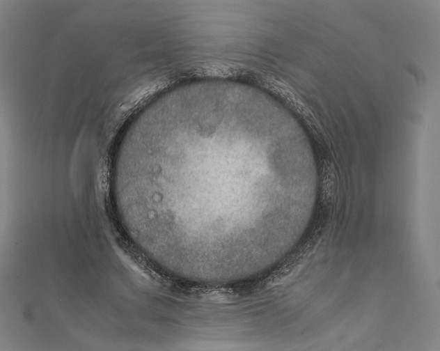 X0000112010683200908311135