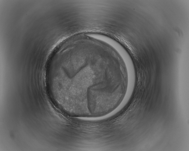 X0000112010684200908311135