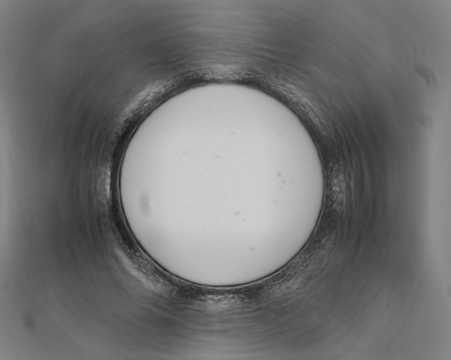 X0000112010686200908311134