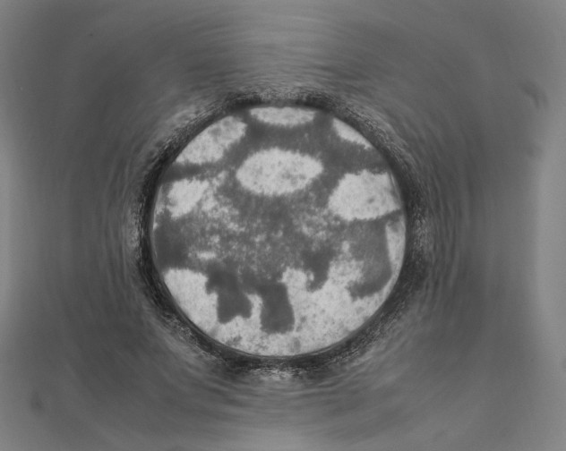 X0000112010687200908311134