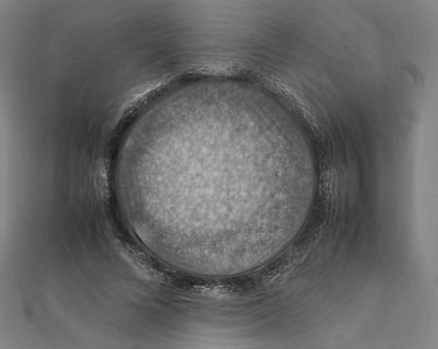 X0000112010688200908311134