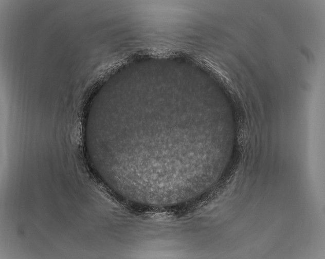 X0000112010689200908311134