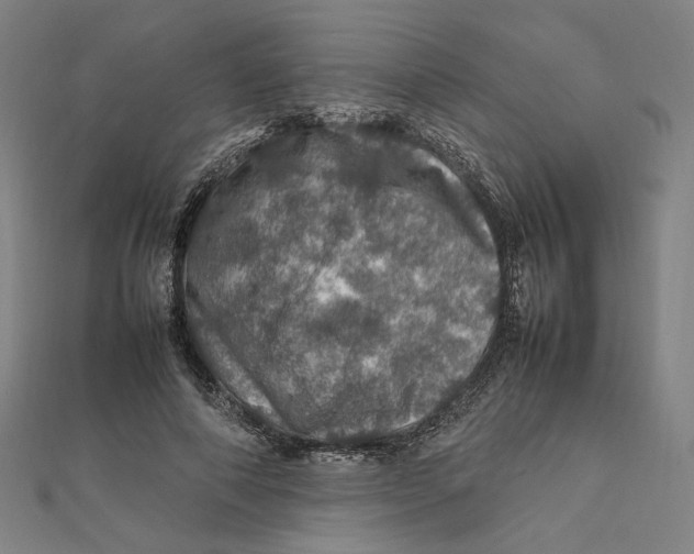 X0000112010690200908311134