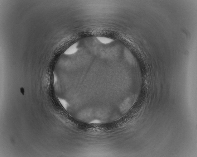 X0000112010691200908311134
