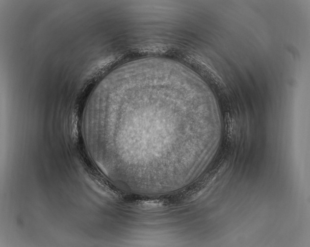 X0000112010692200908311134