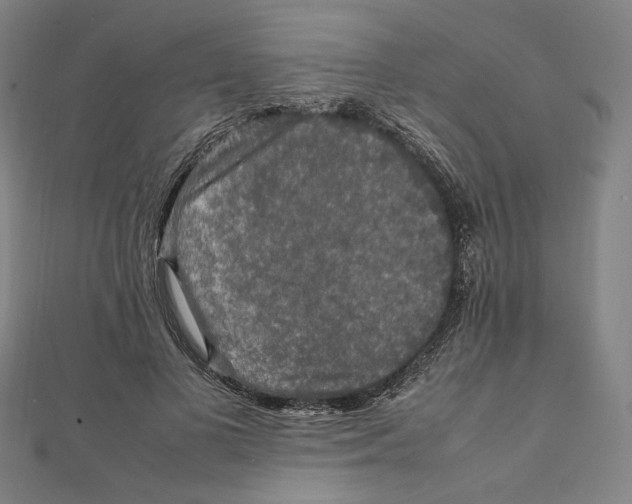 X0000112010693200908311134