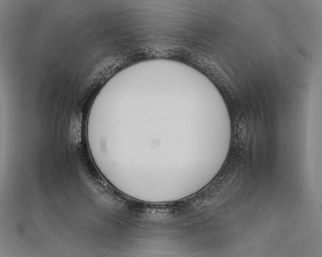 X0000112010694200908311134