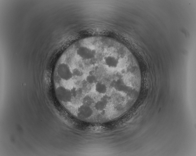 X0000112010695200908311134