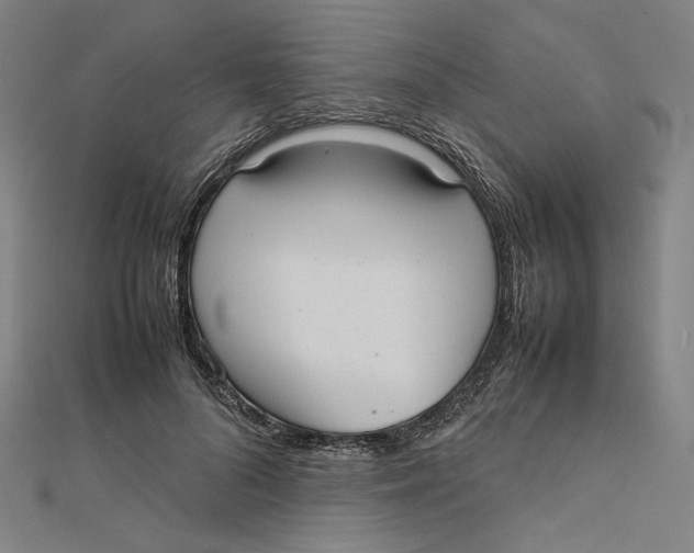 X0000112010696200908311134