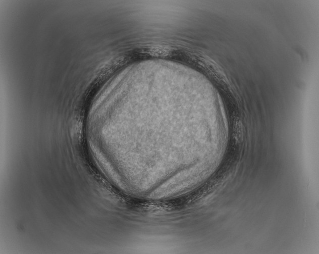 X0000112010697200908311134