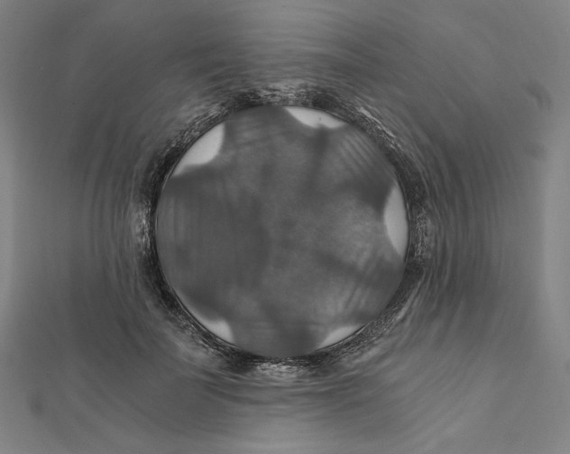 X0000112010699200908311134