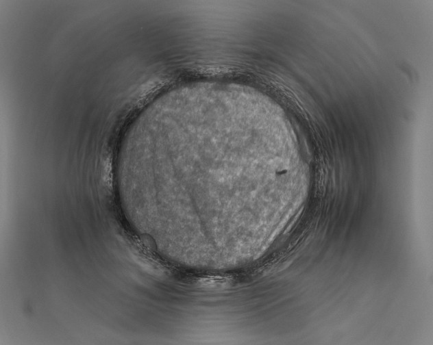 X0000112010700200908311134