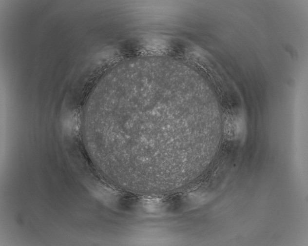 X0000112010701200908311134