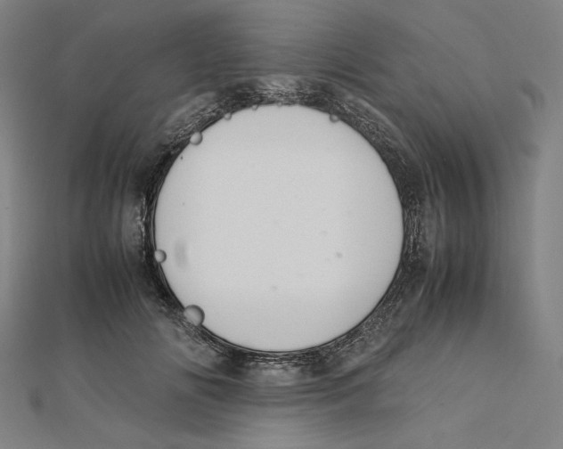 X0000112010702200908311134