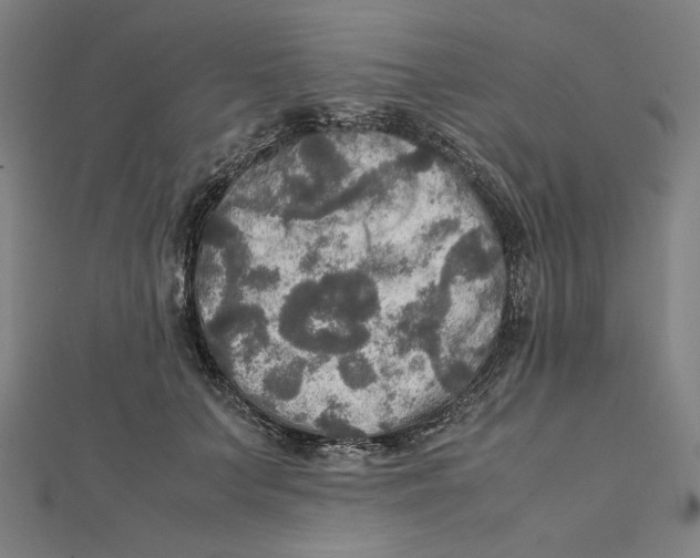 X0000112010703200908311134