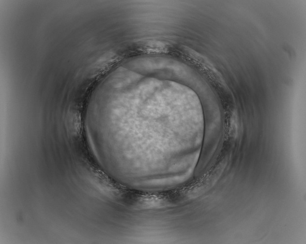 X0000112010704200908311134